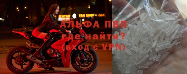стаф Абаза