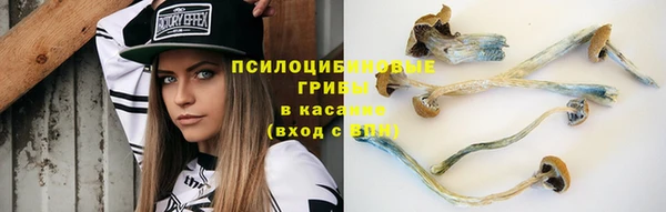 мяу мяу мука Абдулино